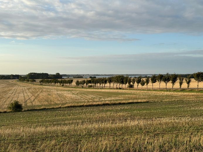 Inselidyll mit Boddenblick: Großes Grundstück & Ferienhaus-Potenzial auf Rügen – Blick unmittelbare Umgebung