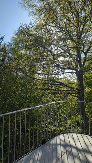 Energieeffizientes Einfamilienhaus (A) mit Panoramablick im Taunus – Ausblick vom Balkon nach Weste