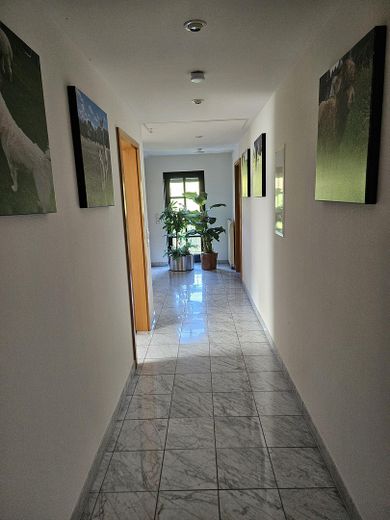 Alpaka çiftliği – Flur OG