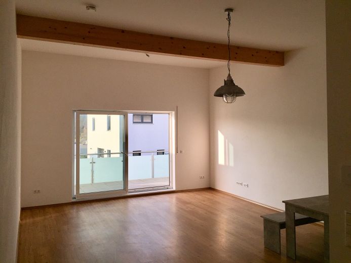 Großes helles Apartment mit Balkon zu vermieten – Foto 2