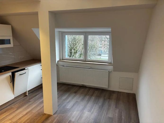 Çatı katında kiralık 1 odalı daire – Fotoğraf 1