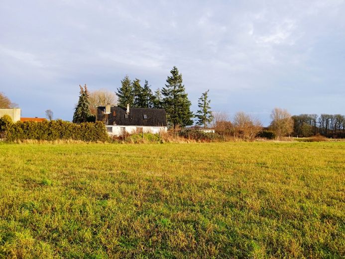 Pollitz, EFH + Nebenge. – Foto 5