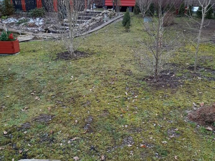 Lichtentanne, Grdst. + Bungalow – Foto 2