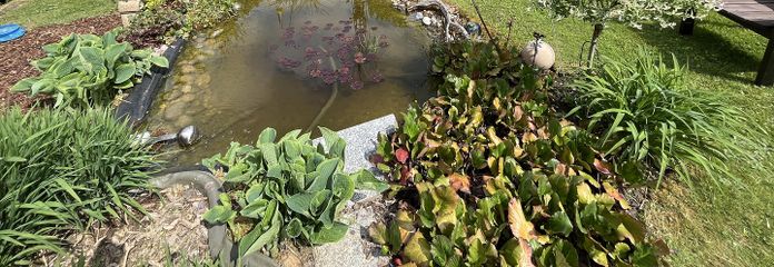 Garten