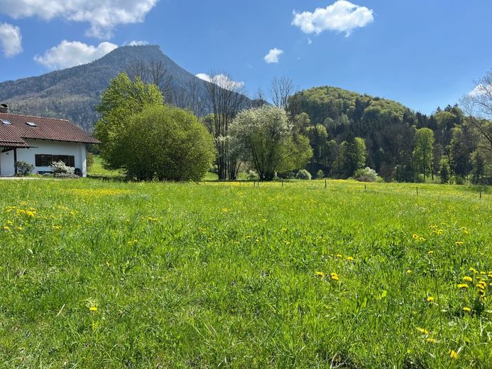 Sonniges Baugrundstück für ein Einfamilienhaus in Nußdorf a Inn – Ansicht 1