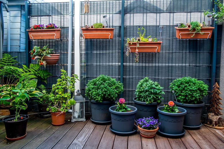 Garten Seitenterrasse