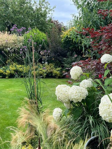 Charmantes Einfamilienhaus mit Garten - PROVISIONSFREI ! – Garten
