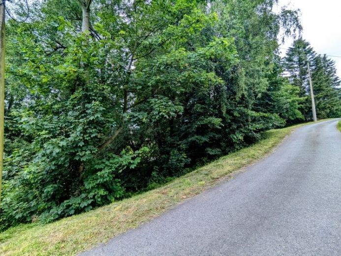 Grundstück für EFH oder Ferienhausvermietung in Langenhennersdorf – Foto 1