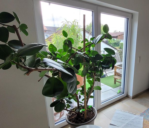 Blick auf Südbalkon