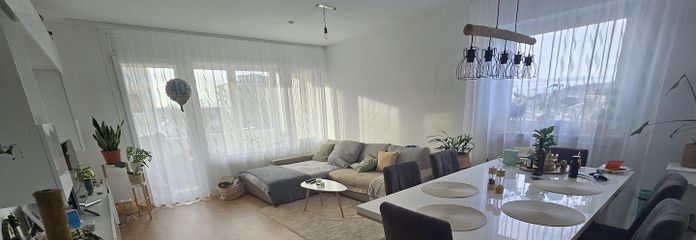 3 Zimmerwohnung mit Loggia zu verkaufen – Wohn/Esszimmer