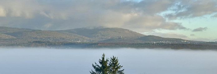 Fernblick