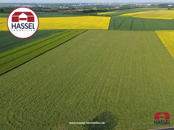 Seltene Gelegenheit: Ackerland in Zülpich-Juntersdorf – Foto 1