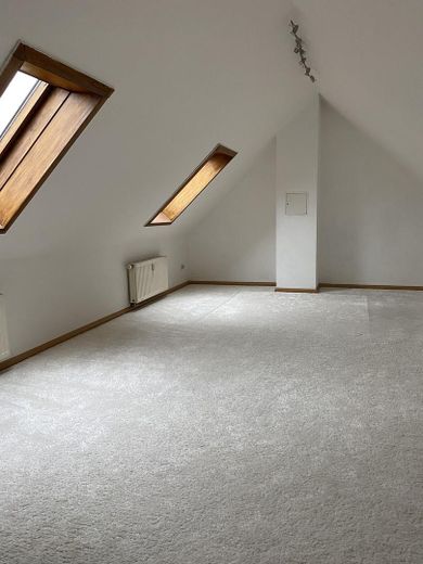 Langflorteppich in Galerie