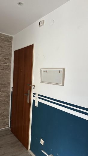 Світла квартира з 3,5 кімнатами – Wohnungseingangstür
