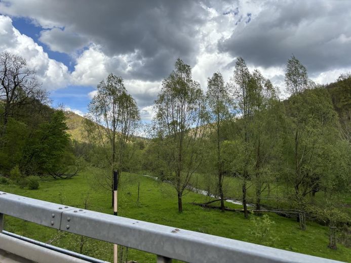 Idyllische Villa/Mehrfamilienhaus in grünem Erholungsort (Harz) - mit Ausbau-/Investmentpotential – B 81 Tal nach Hasselfelde