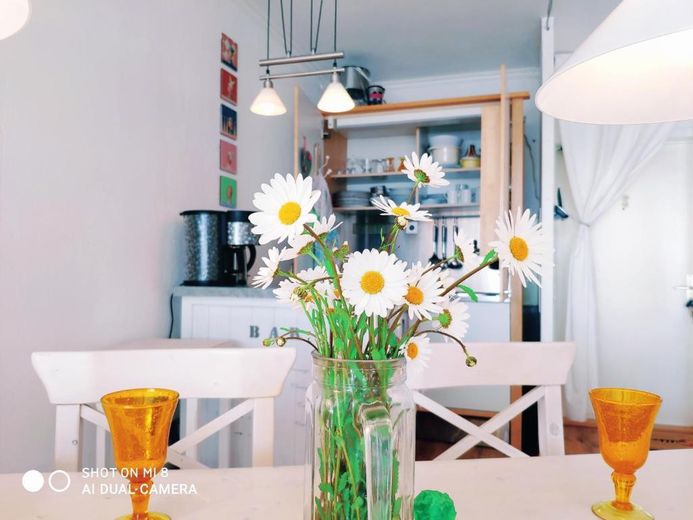 GESCHMACKVOLL EINGERICHTETE WOHNUNG IN SIERKSDORF, STRANDNÄHE, PROVISIONSFREI – Essecke, im Hintergrund Pantry
