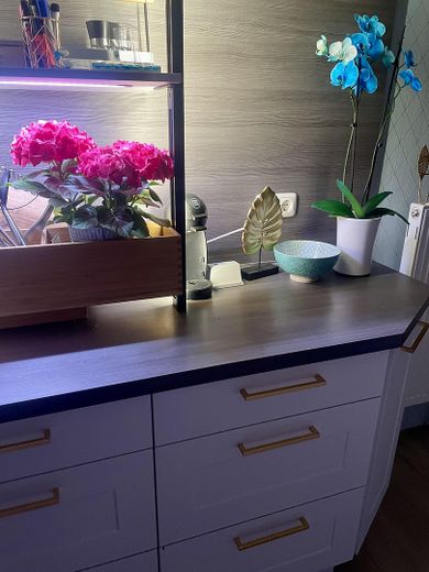 Pflanz-/Lichteinheit