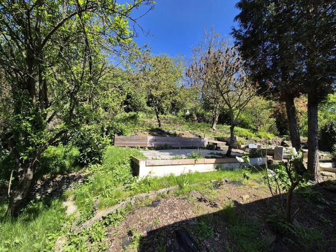 Wohnen mit Ausblick - Einfamilienhaus mit Einliegerwohnung und besonderem Charakter – Gartenansicht