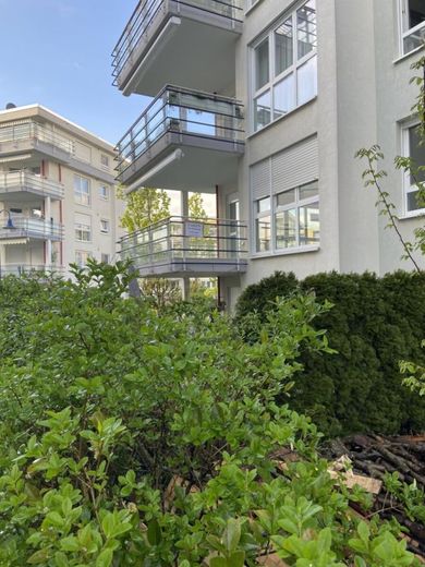 Helle frisch renovierte 3 Zimmer Wohnung in Wiesbaden- Klarenthal zum Vermieten – Wohnung1