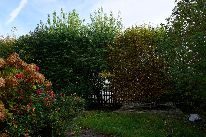 Vorgarten im Eingangsbereich