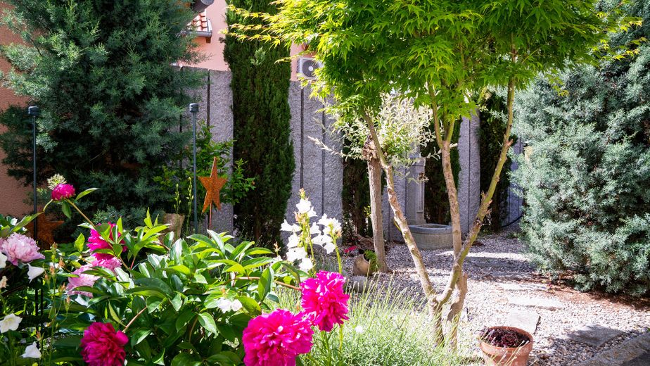 Casa passiva PLUS di architetto, classe energetica A+ (5,0 kWh/m²a) a Weisenheim am Sand – Garten