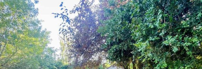 हेनिग्सडॉर्फ के मांग वाले स्थान पर लगभग 580 m² का निर्माण भूखंड