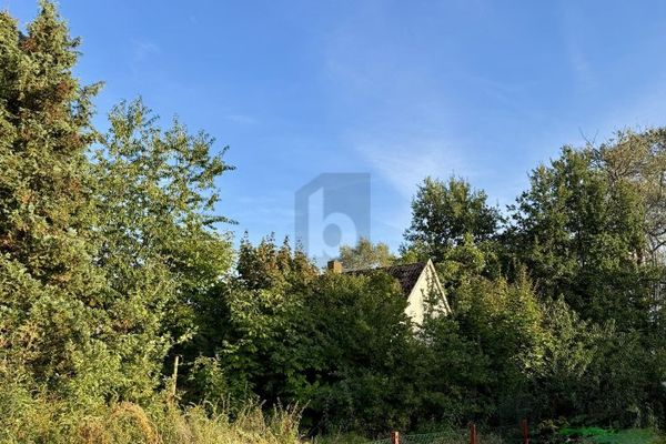 1049 M² PERCEEL, DICHTBIJ BERLIJN