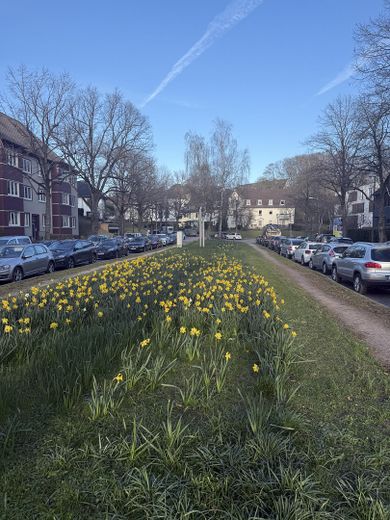 شقة مشرقة مُجددة من 3 غرف في ديسترنبروك – Esmarchstrasse Blumen 🌷