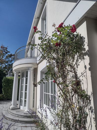 Herrschaftliche Villa am Ende einer elbnahen Sackgasse in Othmarschen – Südfassade