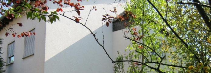 Gartenseite mit Hauseingang