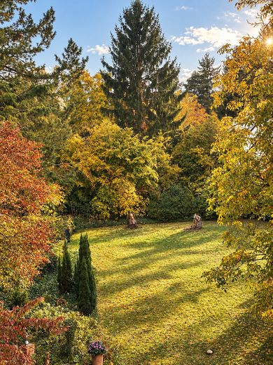 Freie 4-Zimmer-Wohnung Dachgeschoss/2. OG mit Südwestterrasse und Gartenblick – Garten