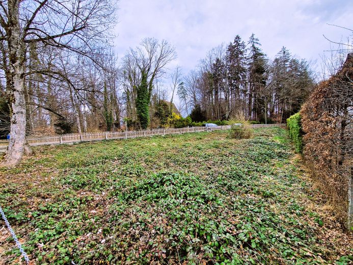 Grundstück am Starnberger See in Bernried – Grundstück im Winter