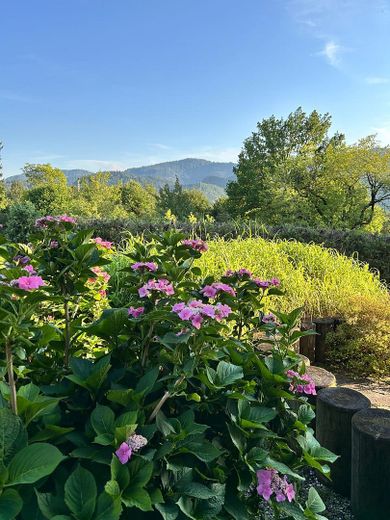 Ausblick Terasse