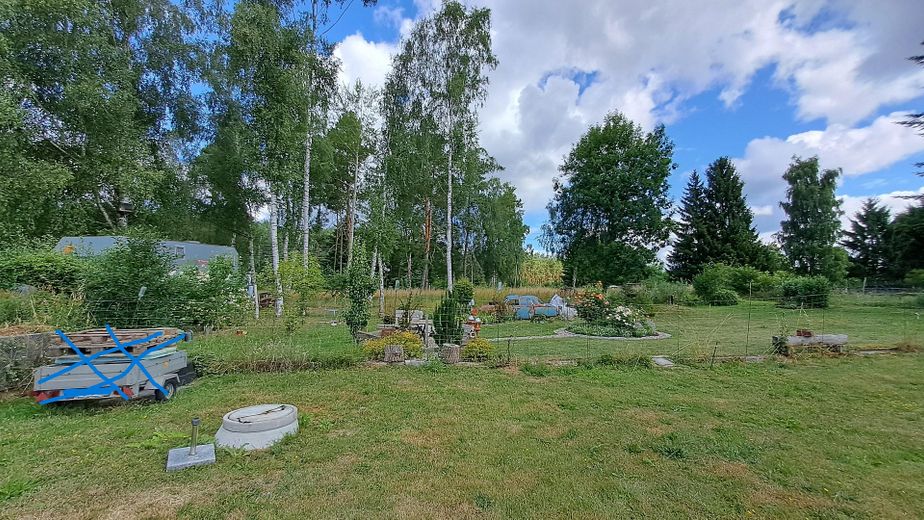 Blick auf Gartenteil