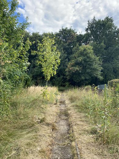 Garten Richtung Süden