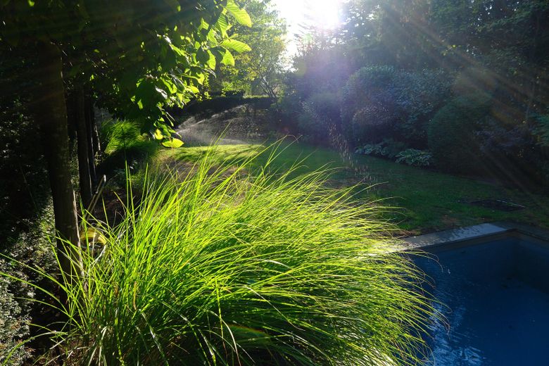Exklusive Wohlfühloase in GE-Resse: 214 m² Luxus, Schreiner-Einbauten & traumhafter Naturpool – Foto 23