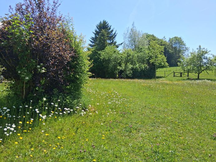 Das besondere Haus, mit sehr großem Grundstück, in einer Region wo andere Urlaub machen – Grundstück-4