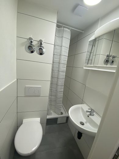 1 Zimmer-Apartment renoviert und neu möbliert, super zentral! – Badezimmer