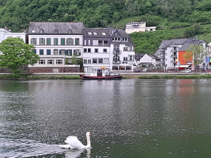 Mosel-Promenade Großzügiges Anwesen für Individualisten – Foto 2