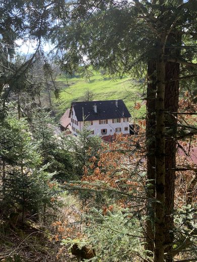 Bauernhaus / ehemalige Getreidemahlmühle in Alleinlage zu verkaufen – Blick aus dem Wald
