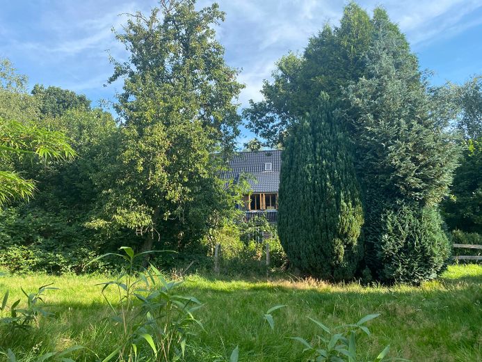 Traumgrundstück mit großem Resthof – Foto 15