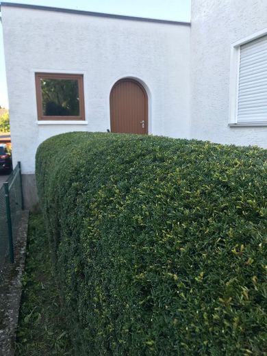 Hochwertig renoviertes Zweifamilienhaus – Zugang (Garage)