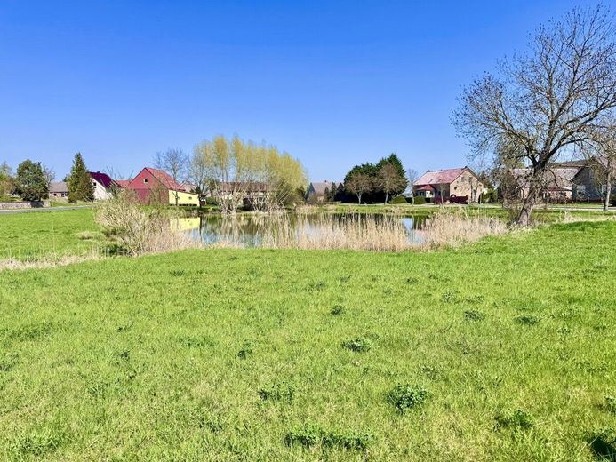 HORN IMMOBILIEN++ kleines gemütliches Zuhause bei Gartz an der Oder – Dorfteich