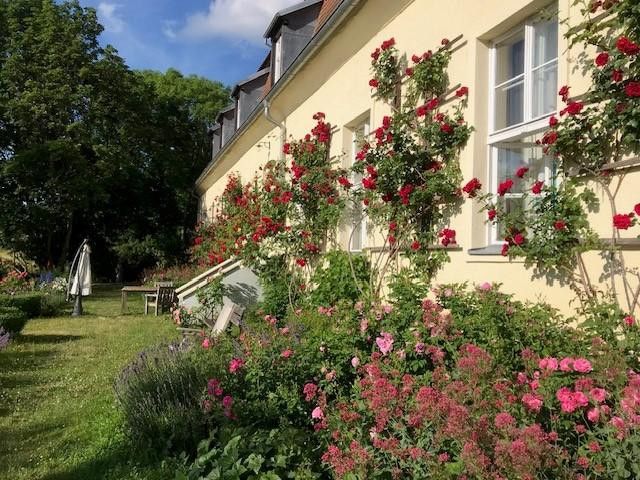hinten