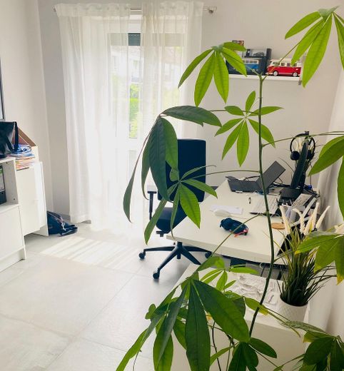 Büro 1, Erdgeschoss