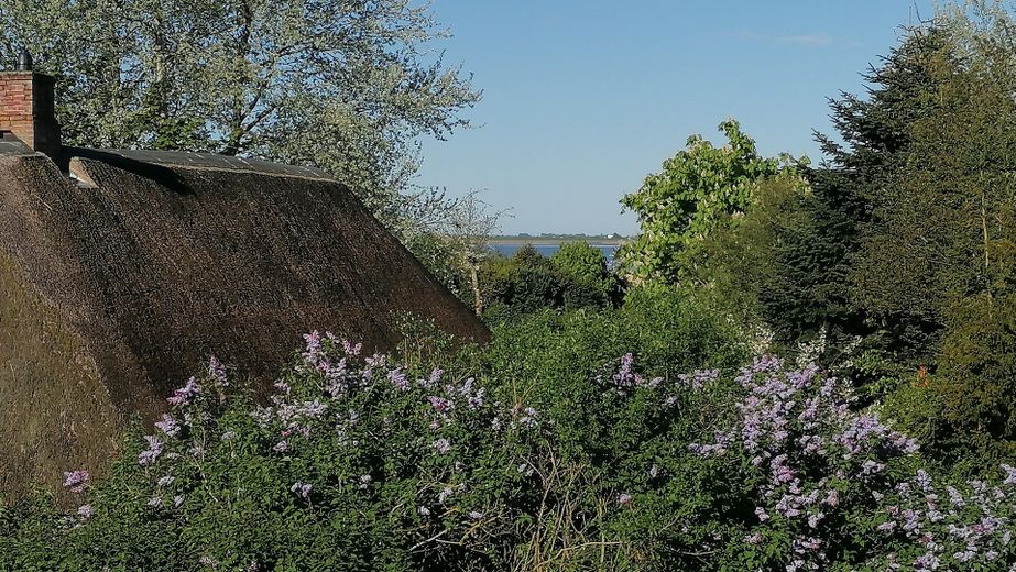 Ausblick zur Seeseite