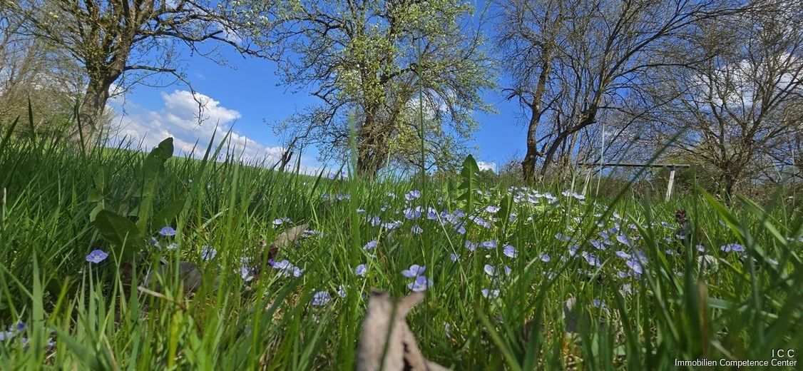 Landhaus - naturnahes Wohnen in ruhiger, dörflicher Umgebung - Geretsham 9, Triftern
***   STARTPREIS: 525.000,- EUR - ZIELPREIS  730.000,- EUR   *** – Geretsham 9_17.04.2026_ (3)
