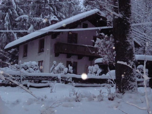 Winterimpression