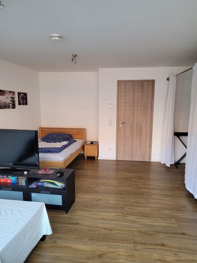 Wohn/Schlaf/Esszimmer