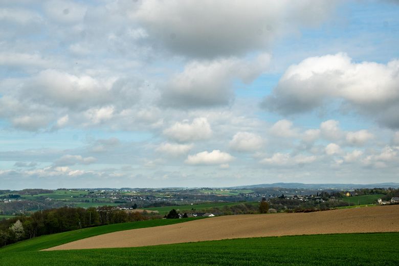 Weitblick